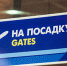 «Я остаюсь!»: большинство россиян не желают никуда уезжать - Crimea.Kz