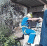 Пять спасателей вытаскивали с восьмиметровой глубины котёнка - Crimea.Kz