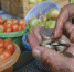 В росте цен на продукты питания в Крыму виноваты чиновники - Crimea.Kz