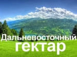 Крымчан приглашают стать участниками программы «Дальневосточный гектар»