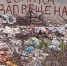 В Крыму за год обнаружили 960 стихийных свалок - нарушители оштафованы на 3,5 млн руб - 3652.Ru