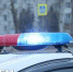 Керчанка благодарит сотрудников полиции за найденный автомобиль - Crimea.Kz