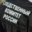 Следственный комитет возбудил уголовное дело по факту смерти подростка в результате катания на санях в Крыму - Crimea.Kz