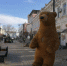 medved-v-simferopole-3.jpg.pagespeed.ce.pbiVK8WaDW - 3652.Ru