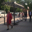В Симферополе устанавливают вторую  умную остановку - Crimea-news.com
