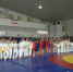 Около тысячи спортсменов соревновались в рамках Спартакиады боевых искусств «Крымский грифон-2017» - Минспорт Республики Крым