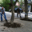 В Симферополе прошел очередной субботник - Симферопольский Городской Совет