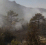 В районе Коктебеля горел лес - Allcrimea.Net