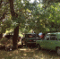 В Гагаринском парке появилась «парковка» - Крымская правда