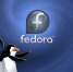 В Крым запретили поставлять операционную систему Fedora Linux - Крым.Net