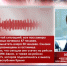 50 человек не оказалось в списках пассажиров компании «ВИМ-Авиа» - Crimea-news.com
