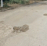 Керчане жалуются на отсутствие дороги к домам в частном секторе - Crimea.Kz