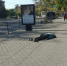 В Севастополе не обращают внимание на трупы на улицах - Allcrimea.Net
