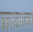 Лучшей грязи в мире нет - Crimea-news.com