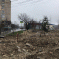 В Симферополе во время прокладки теплотрассы рабочие уничтожили сквер, созданный горожанами - Crimean Gazette