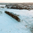 Вид с высоты на место крушения самолета Ан-148 "Саратовских авиалиний". ФОТО СК России - Комсомольская правда