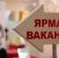 Ярмарка вакансий для молодежи привлекла 160 соискателей работы в Севастополе - Крым 24
