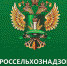Осторожно- мраморный клоп! - Газета Черноморские известия