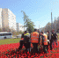 На Свято-Никольской площади в Гагаринском районе Севастополя, на центральной клумбе высадили пятиметровый кедр - Симферопольская и Крымская епархия