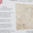 Строители забили первую сваю для путепровода на новом участке трассы Симферополь – Евпатория – Мирный - Первый Крымский