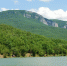 Бойко-логово - Крымский ТелеграфЪ