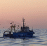 Крымский рыбак пропал в Азовском море возле украинского берега - Новый Крым