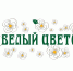 В Крыму пройдет благотворительная акция «Белый цветок» - Правительство Республики Крым