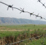 Украинка пыталась купить проезд в Крым золотом - Crimea-news.com