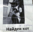 У Ахметьевой пропал кот, а во дворе оказалась вот эта листовка - Комсомольская правда