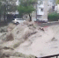 Погибшие и пострадавшие: ливень в Краснодарском крае привел к жертвам - Crimea-news.com