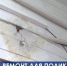 Здания симферопольских поликлиник требуют ремонта. Средства выделены - руководство ждёт - Crimea-news.com