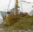 Росрыболовство о ситуации в Азовском море - Crimea-news.com