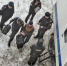 В Самаре судят московского бизнесмена, арестованного год назад по надуманному делу - Crimea-news.com