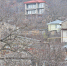 Чем живут и на что жалуются жители Лучистого - Газета Крымская газета