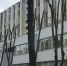 В Симферополе до середины апреля будут резать деревья - 3652.Ru