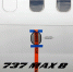 Опечатанный самолет Боинг 737 max 8 в аэропорту. - Комсомольская правда