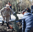 В Гагаринском парке - большой правительственный десант - Администрация города Симферополя