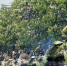 В центре Симферополя пройдет военный парад и несколько его репетиций - 3652.Ru