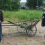 Районные чиновники встречали заморских гостей при параде. Местные жители особо не стремились пообщаться с бурами. Фото: Мария БЕРК - Комсомольская правда