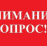 Опрос об эффективности деятельности органов власти по итогам 2019 года - Crimea-news.com