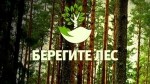 Берегите лес!