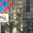 В День ВМФ в Севастополе ограничат движение транспорта - Crimea-news.com