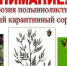 Месячник по борьбе с амброзией - Crimea-news.com