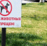 Власти Симферополя засеют газонной травой обочины всех магистральных улиц - Crimea-news.com