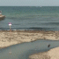 Как в Феодосии решают проблему слива сточных вод в акваторию Чёрного моря? - Crimea-news.com