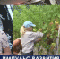 Заголовки часа в 14: 30 от 25.08.19 - Crimea-news.com