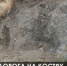 В центральной части Феодосии рядом с жилым домом разрыта братская могила - Crimea-news.com