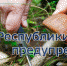 МЧС Республики Крым: Будьте осторожны и внимательны при сборе грибов! - Crimea-news.com