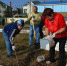 Керчане провели субботник у братских могил в Героевке - Крым 24