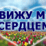 Международный день слепых - Клиническая больница им. Н.А. Семашко